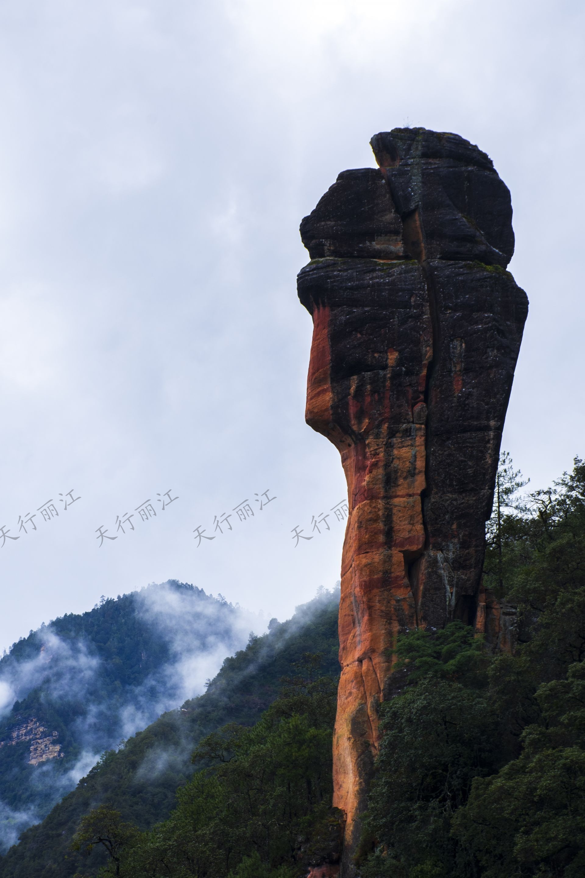 麗江老君山黎明景區(qū)因其避世的清幽、壯美的丹霞，成為了一處令人向往的秘境。 在這里，可以游壯美千龜山。景區(qū)以丹霞地貌聞名，是國內(nèi)面積最大、發(fā)育最完整的丹霞地貌。以千龜山為代表，其形如烏龜?shù)膲邀惥坝^，堪稱中國一絕。游人可乘坐索道，輕松游覽這一奇觀。